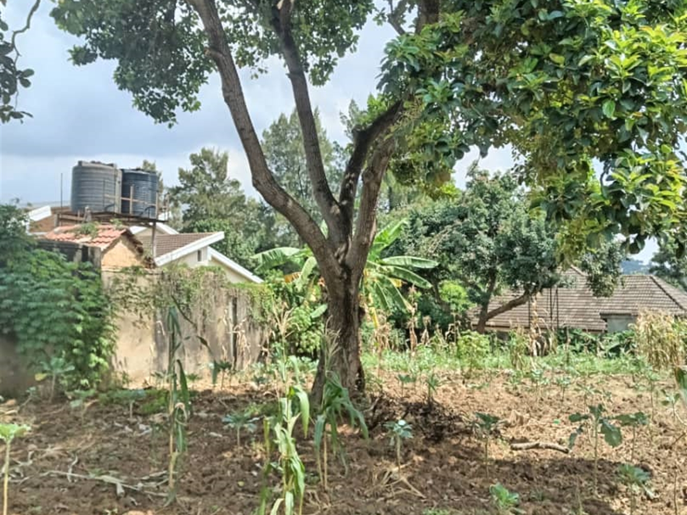 Residential Land for sale in Mutungo Kampala