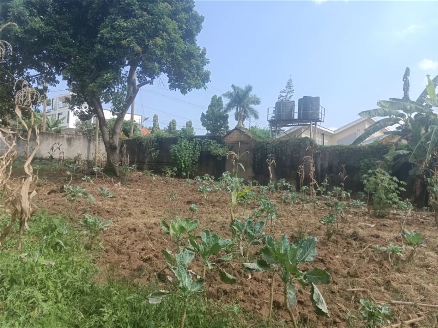 Residential Land for sale in Mutungo Kampala