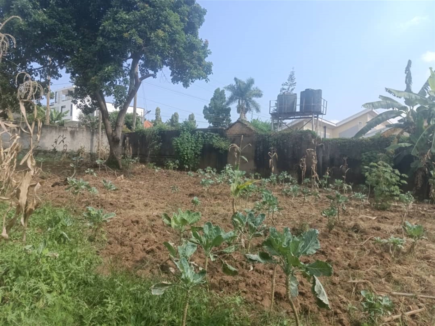 Residential Land for sale in Mutungo Kampala