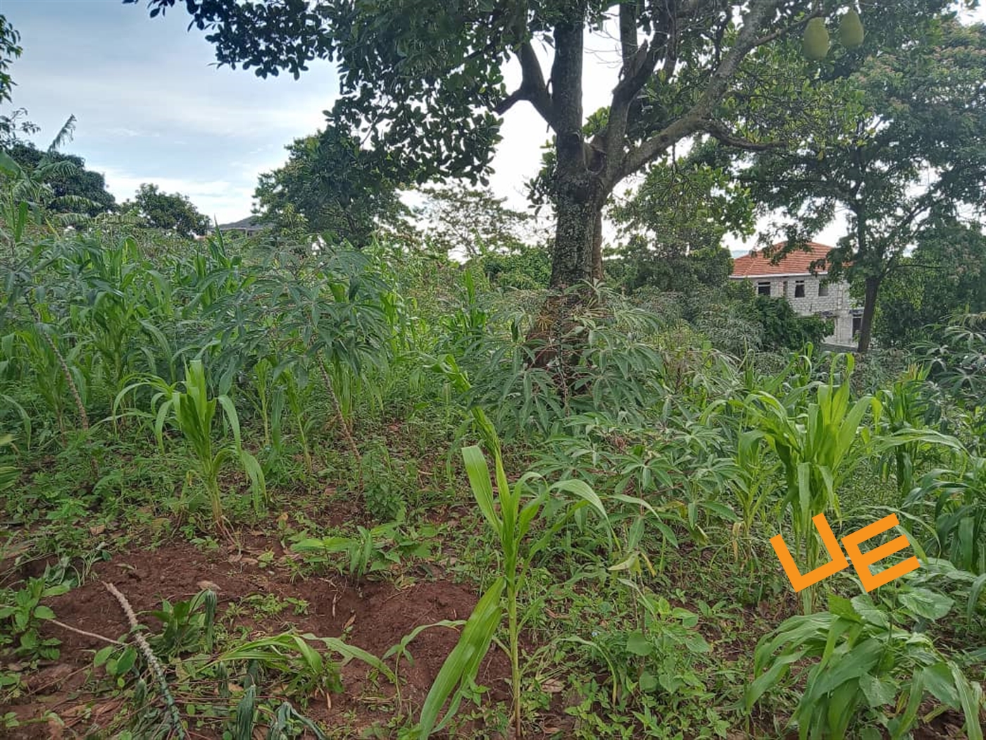 Residential Land for sale in Kawuku Wakiso