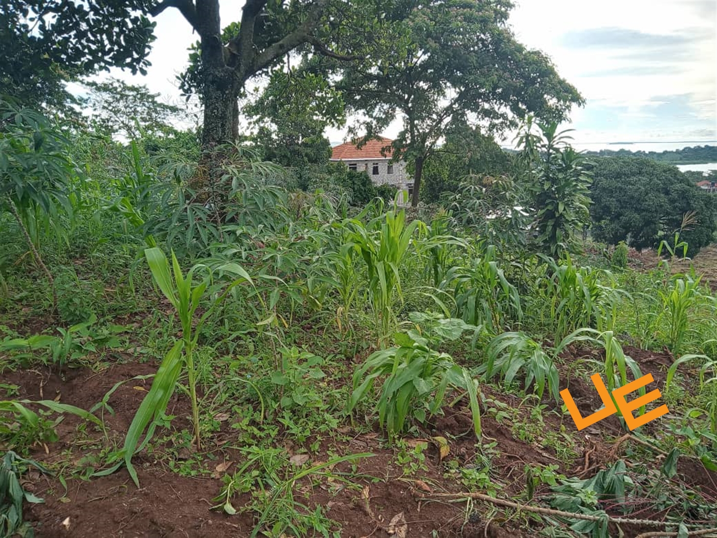 Residential Land for sale in Kawuku Wakiso