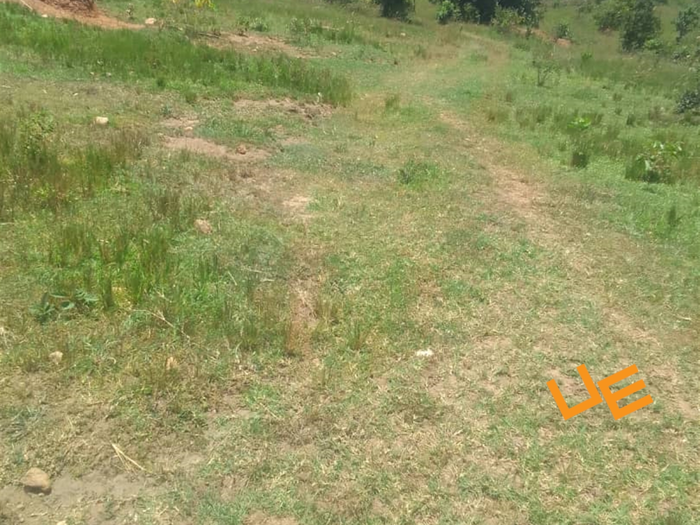 Agricultural Land for sale in Namayumba Wakiso