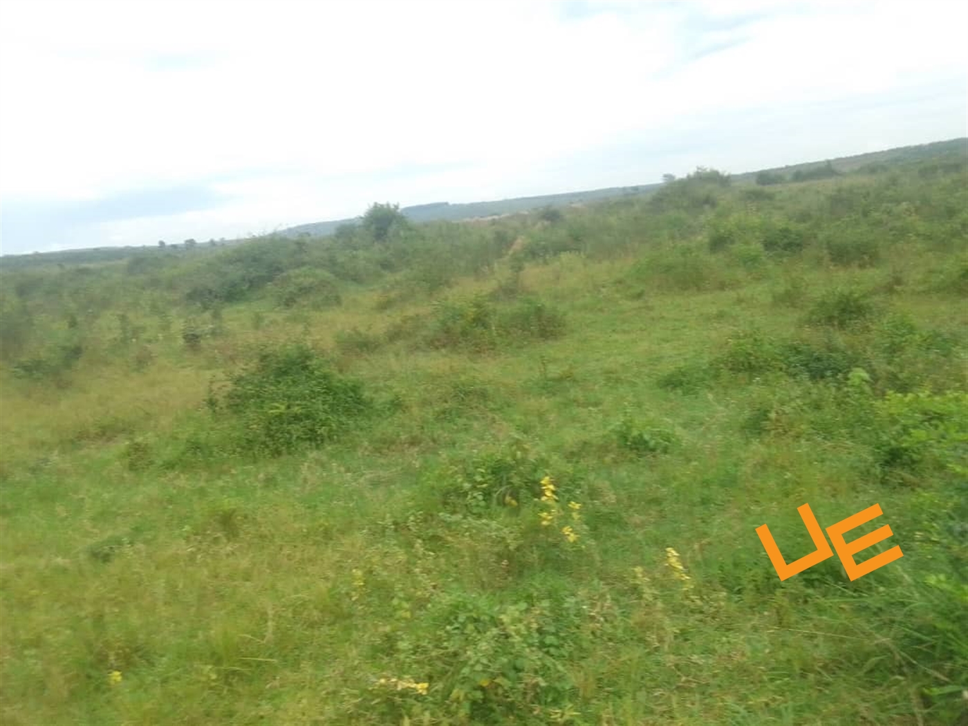 Agricultural Land for sale in Namayumba Wakiso