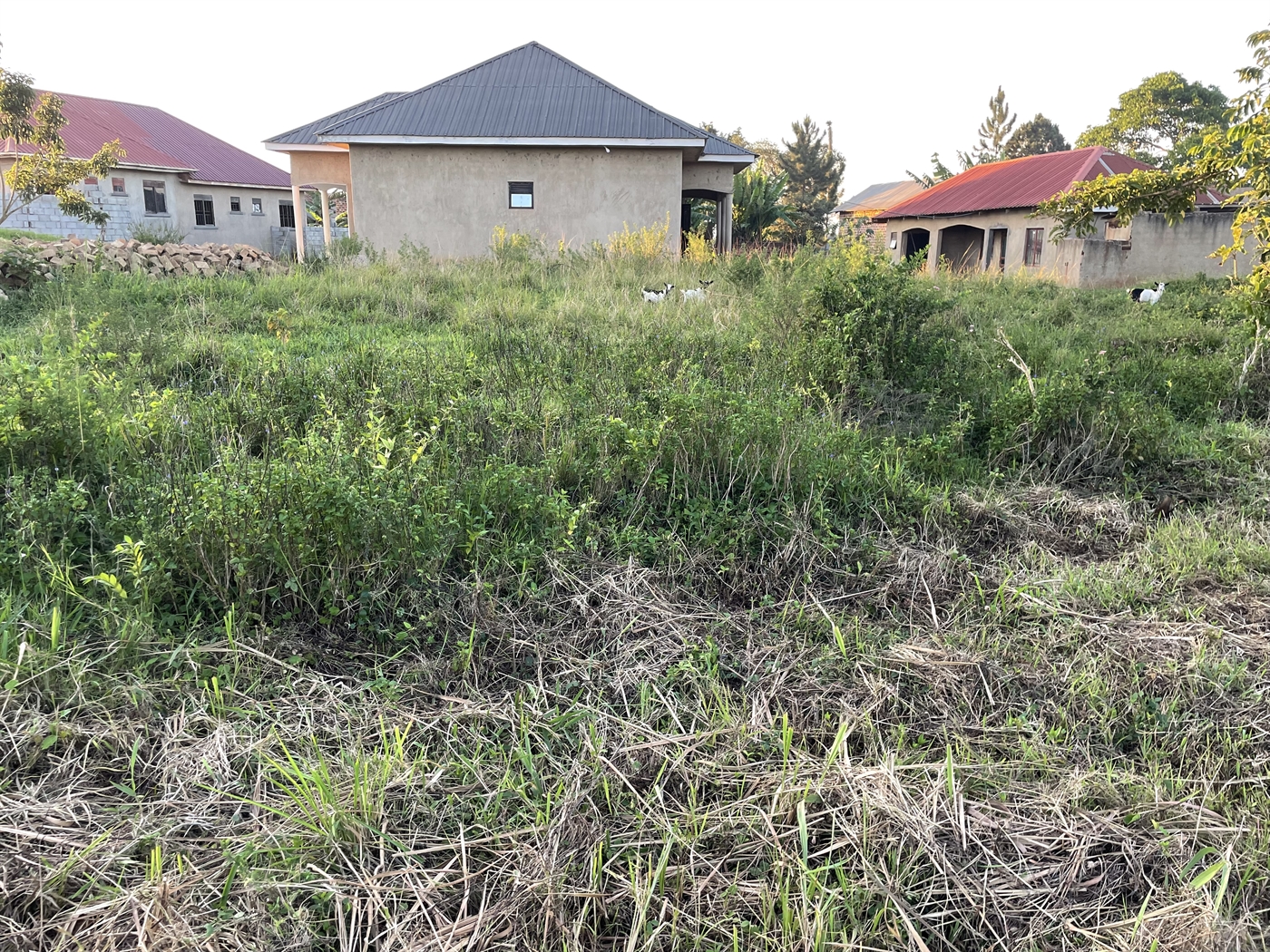 Residential Land for sale in Kijabijo Wakiso