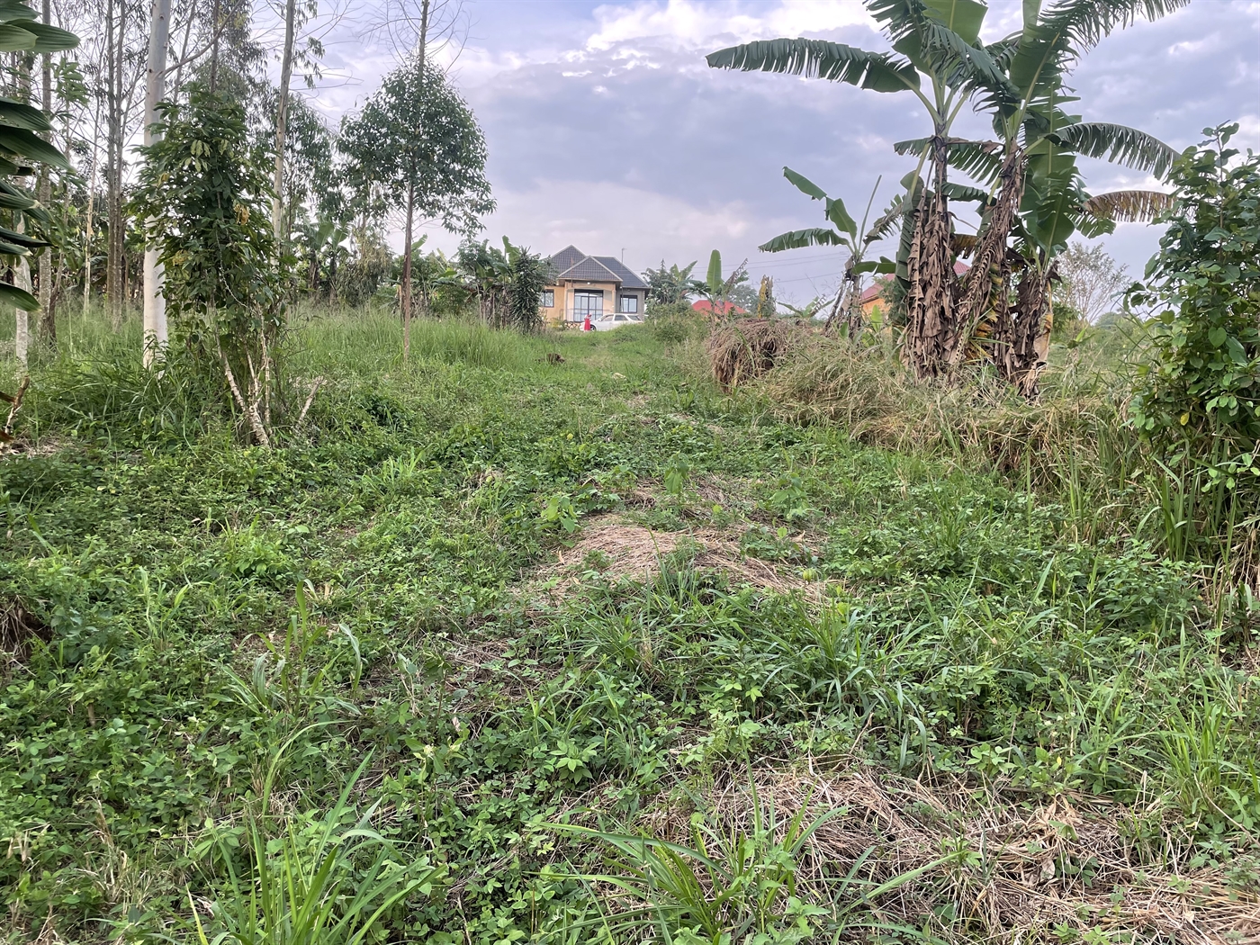 Residential Land for sale in Kiwenda Wakiso