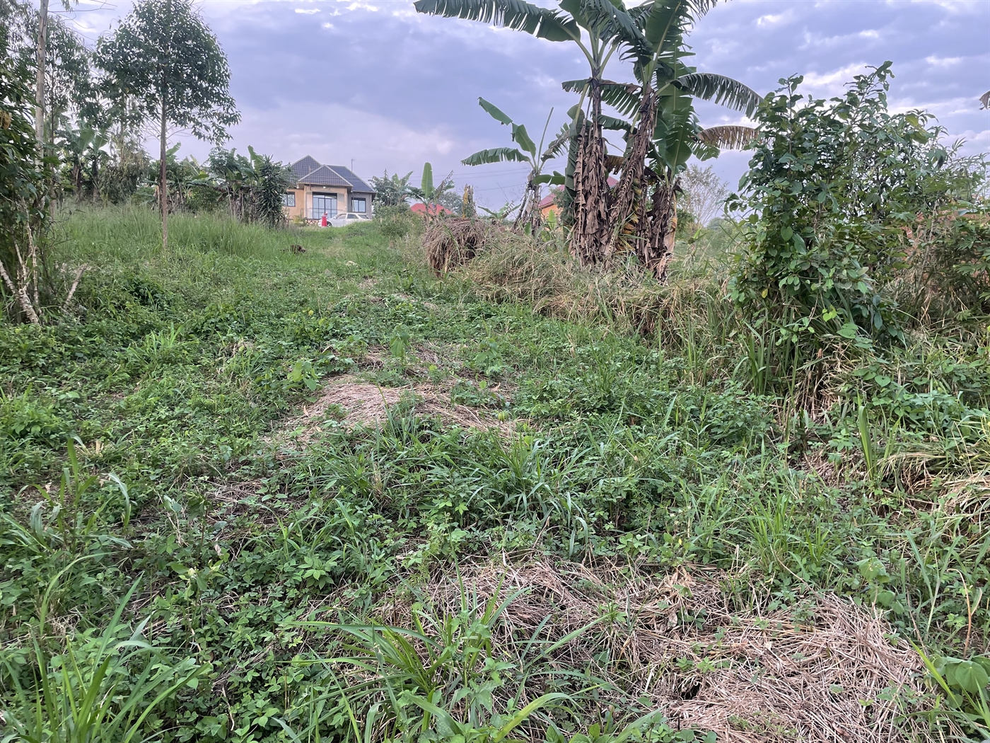 Residential Land for sale in Kiwenda Wakiso