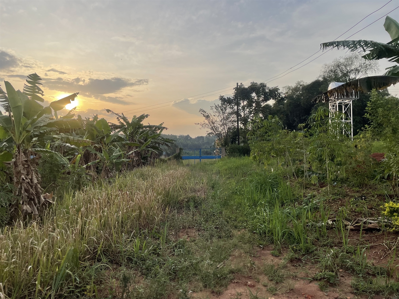 Residential Land for sale in Kiwenda Wakiso