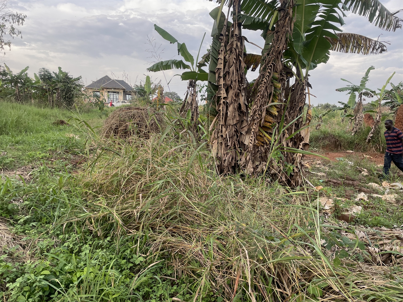 Residential Land for sale in Kiwenda Wakiso