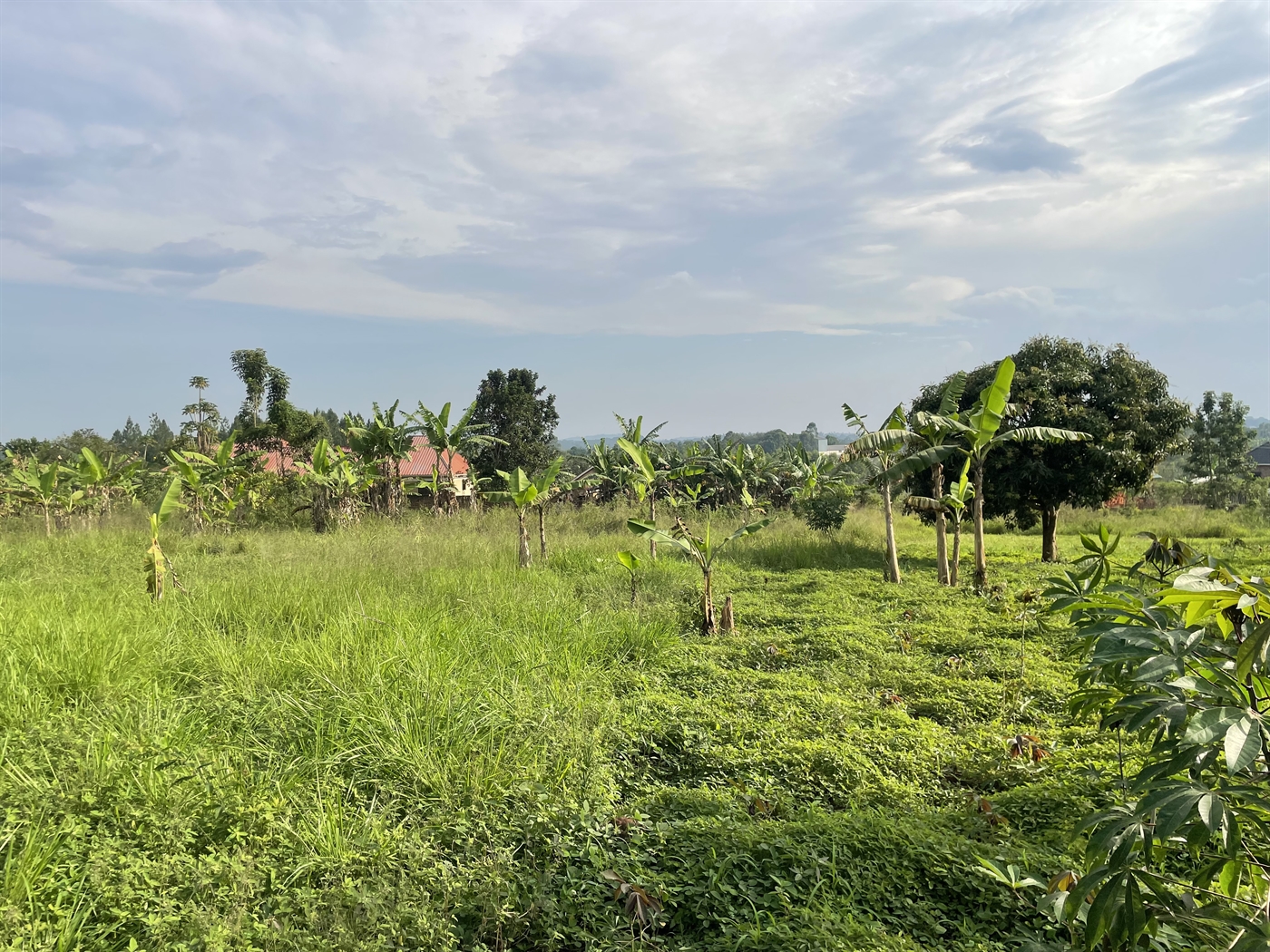 Residential Land for sale in Vvumba Luweero