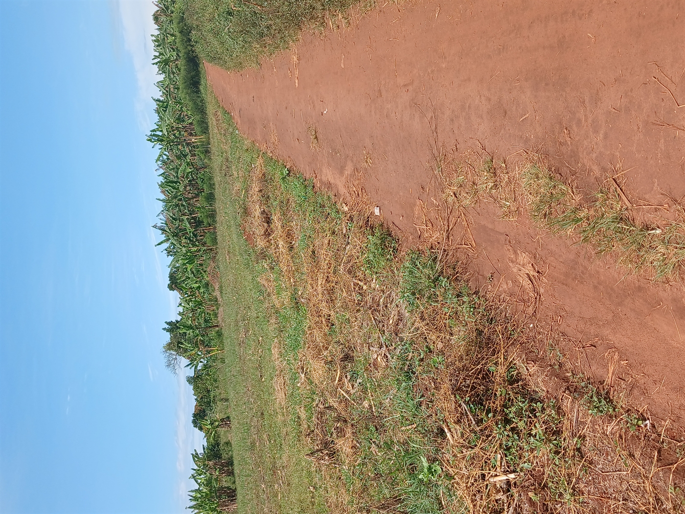 Residential Land for sale in Busiika Luweero