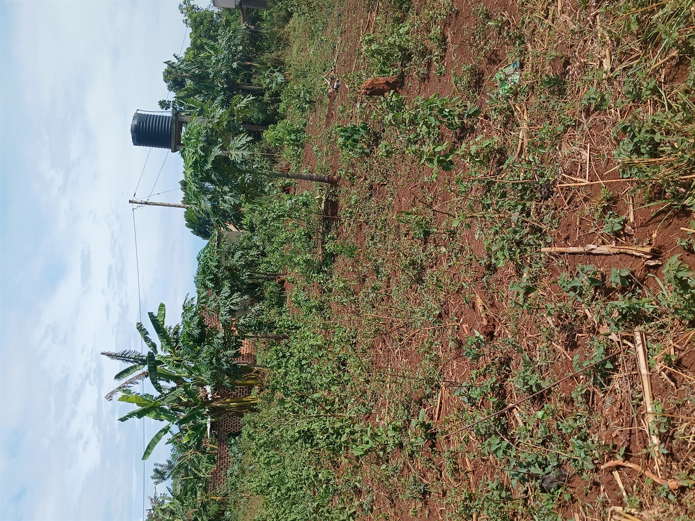 Residential Land for sale in Busiika Luweero