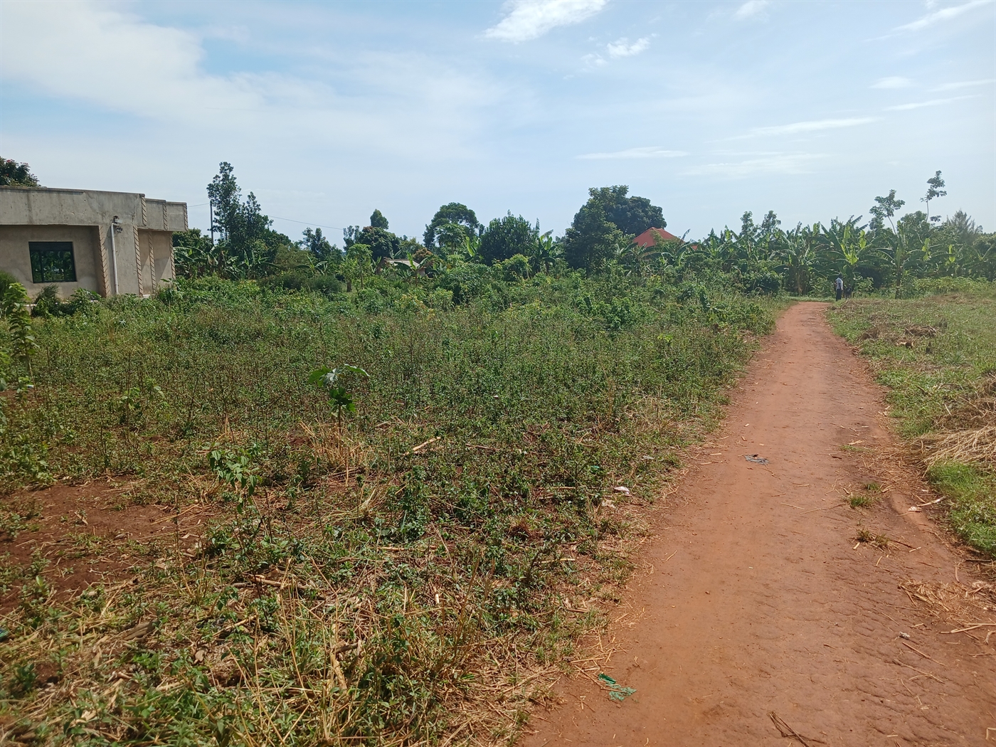 Residential Land for sale in Busiika Luweero