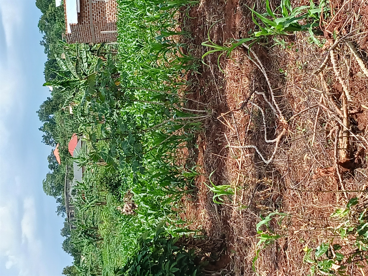 Residential Land for sale in Nakassajja Mukono