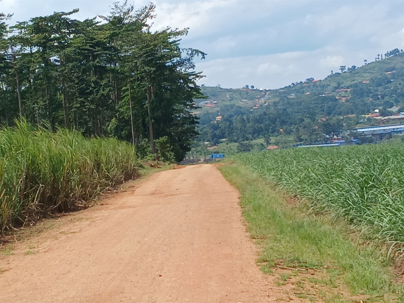 Industrial Land for sale in Mbalala Mukono