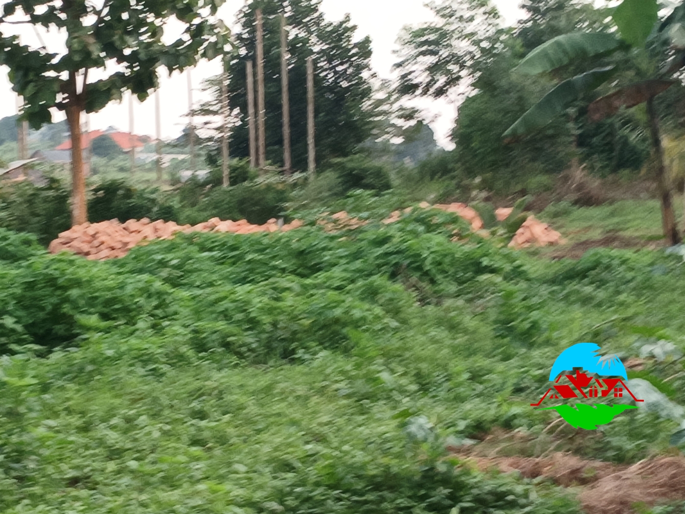 Residential Land for sale in Ngalamye Wakiso