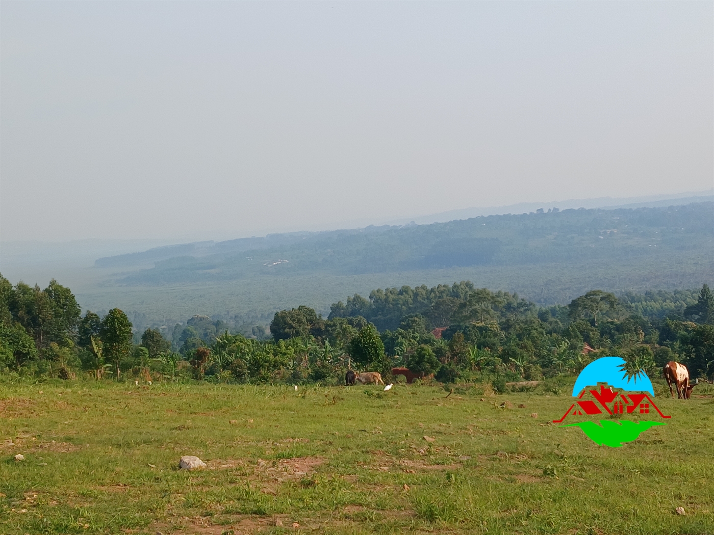 Residential Land for sale in Nakawuka Wakiso