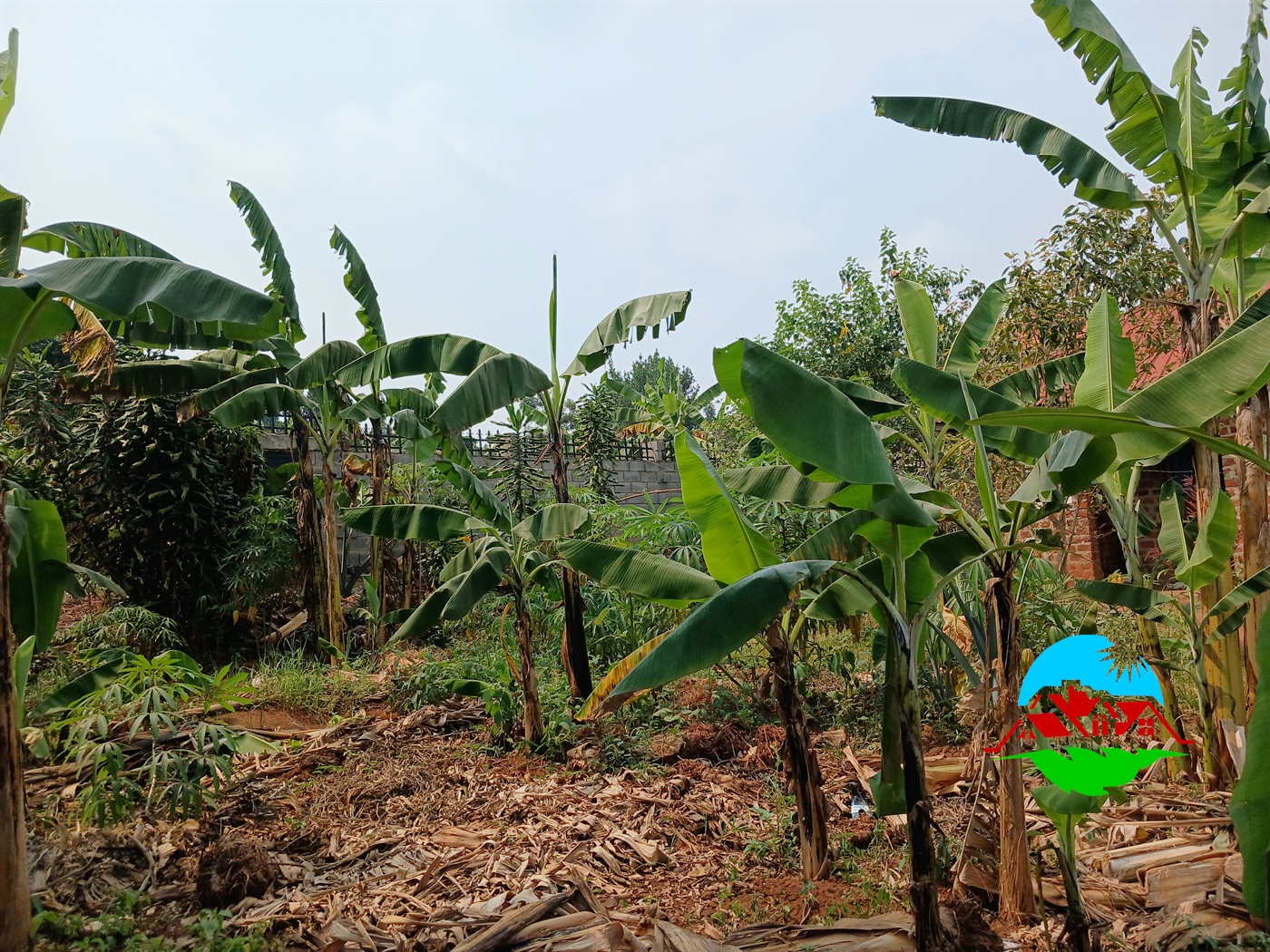 Residential Land for sale in Namulonge Wakiso