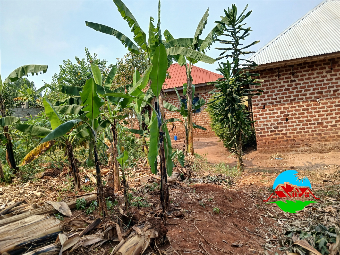 Residential Land for sale in Namulonge Wakiso