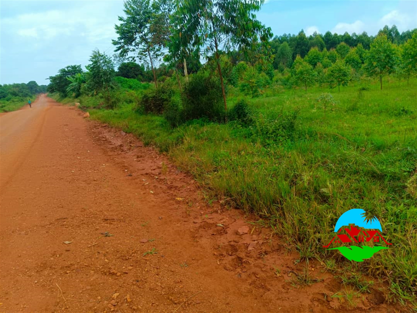 Agricultural Land for sale in Buzibweera Luweero