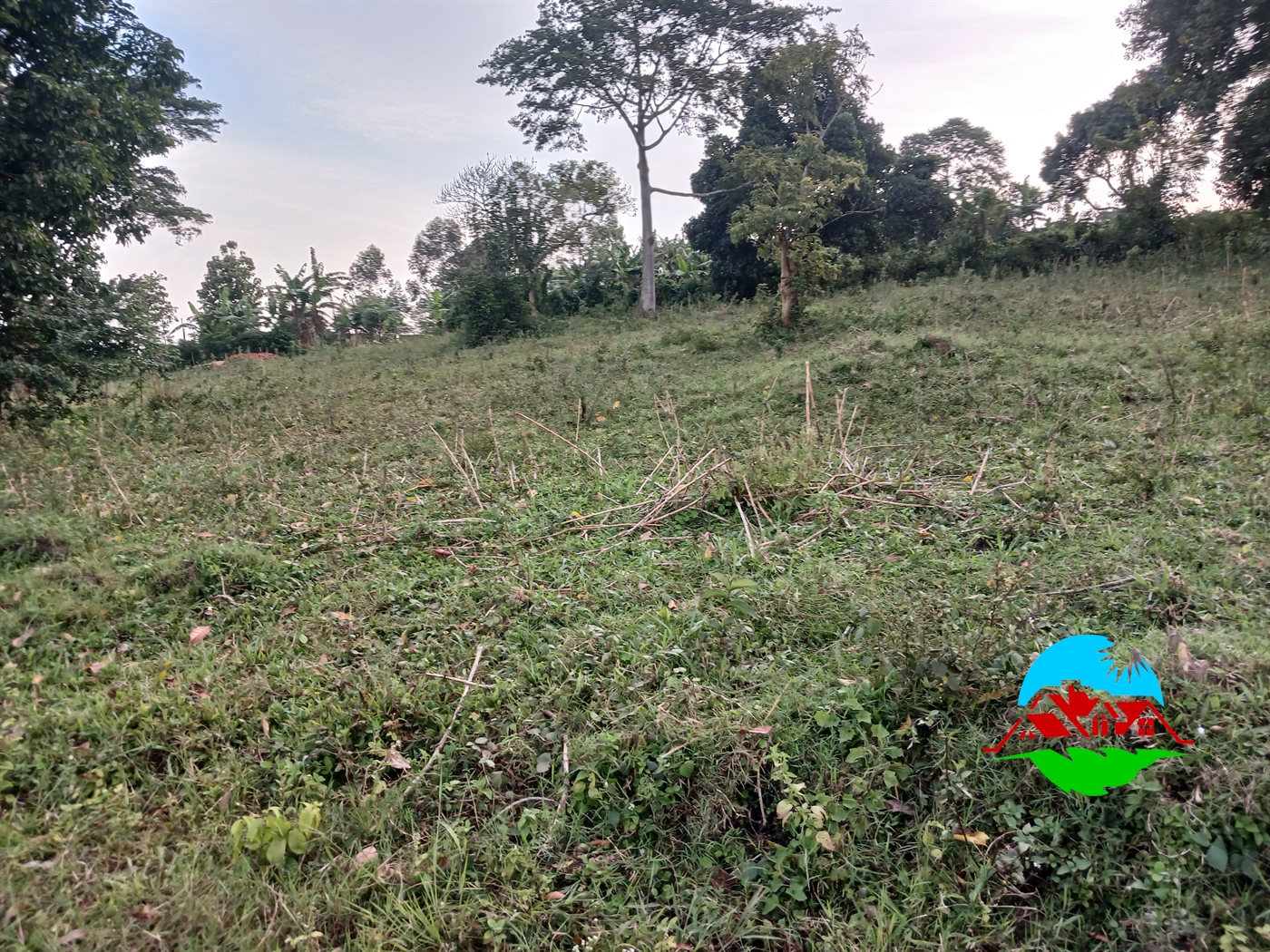 Residential Land for sale in Ngalamye Wakiso