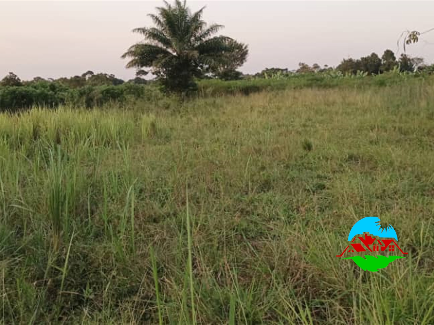 Commercial Land for sale in Vvumba Luweero