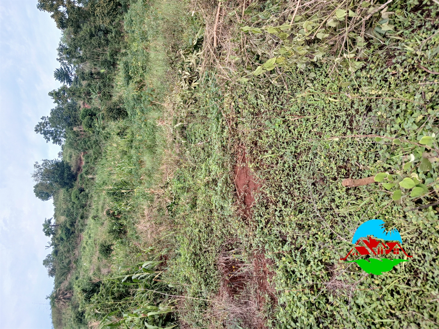 Residential Land for sale in Bugabo Wakiso