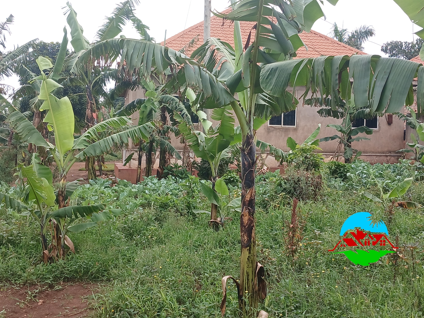 Residential Land for sale in Manyangwa Wakiso