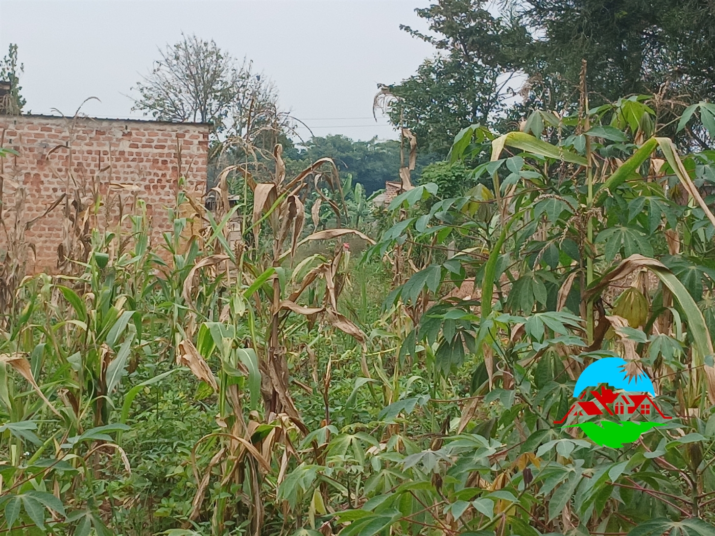 Residential Land for sale in Manyangwa Wakiso