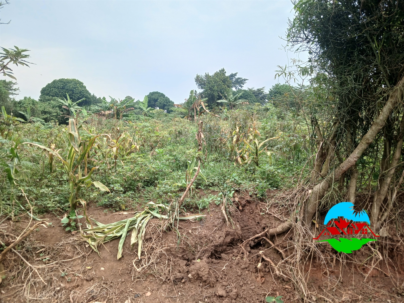 Residential Land for sale in Manyangwa Wakiso