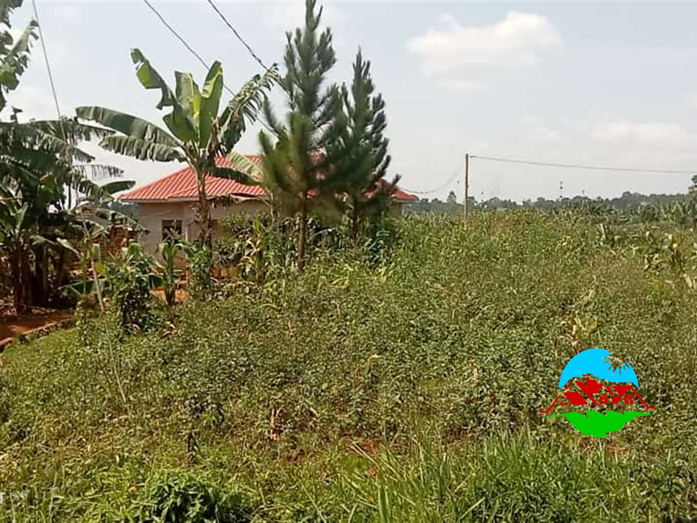 Residential Land for sale in Nama Mukono