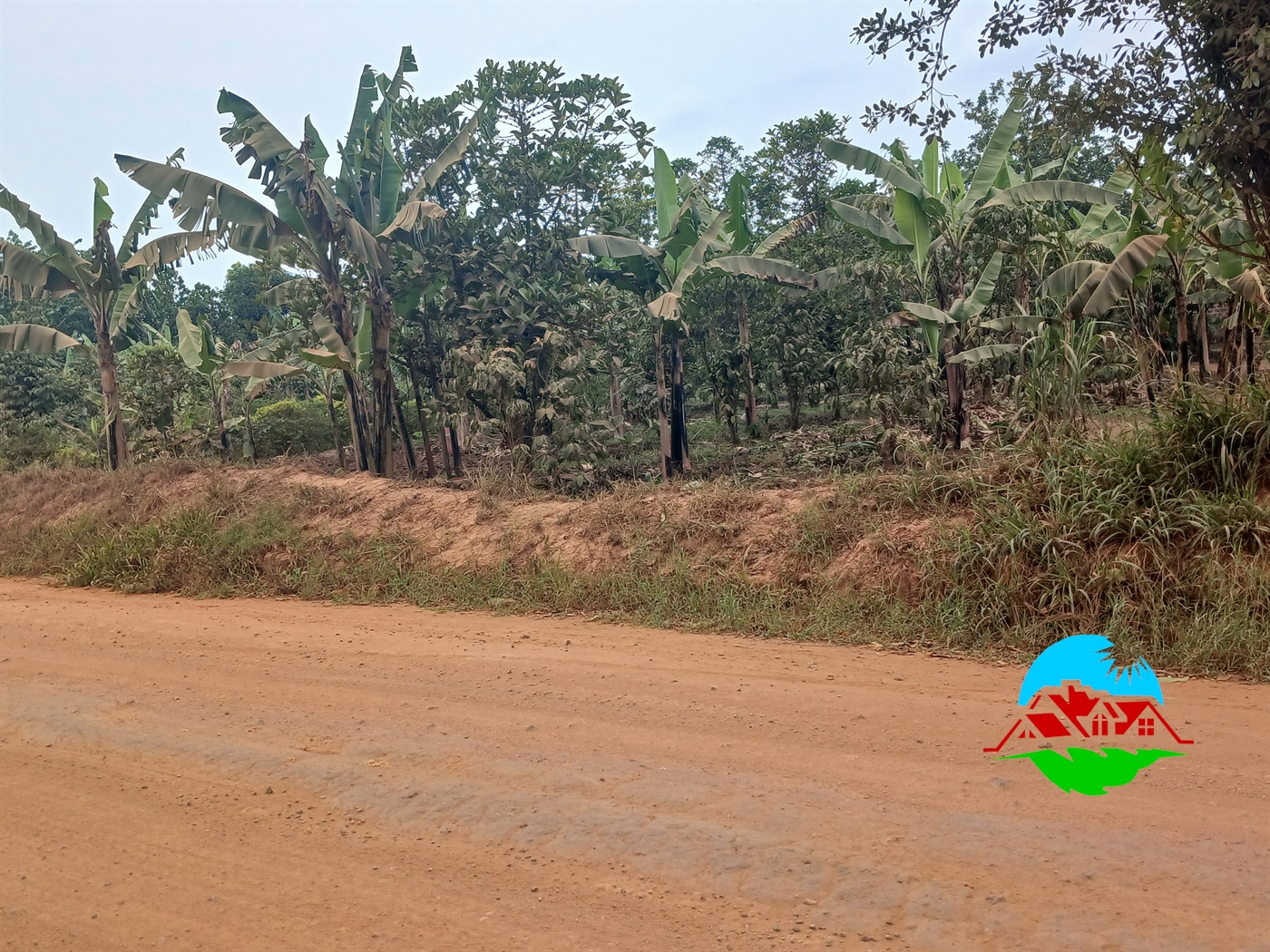 Commercial Land for sale in Ziloobwe Luweero