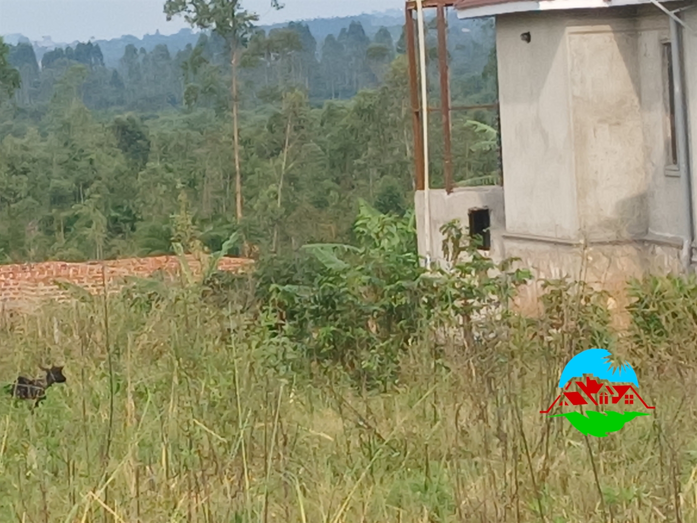 Residential Land for sale in Kiweebwa Wakiso