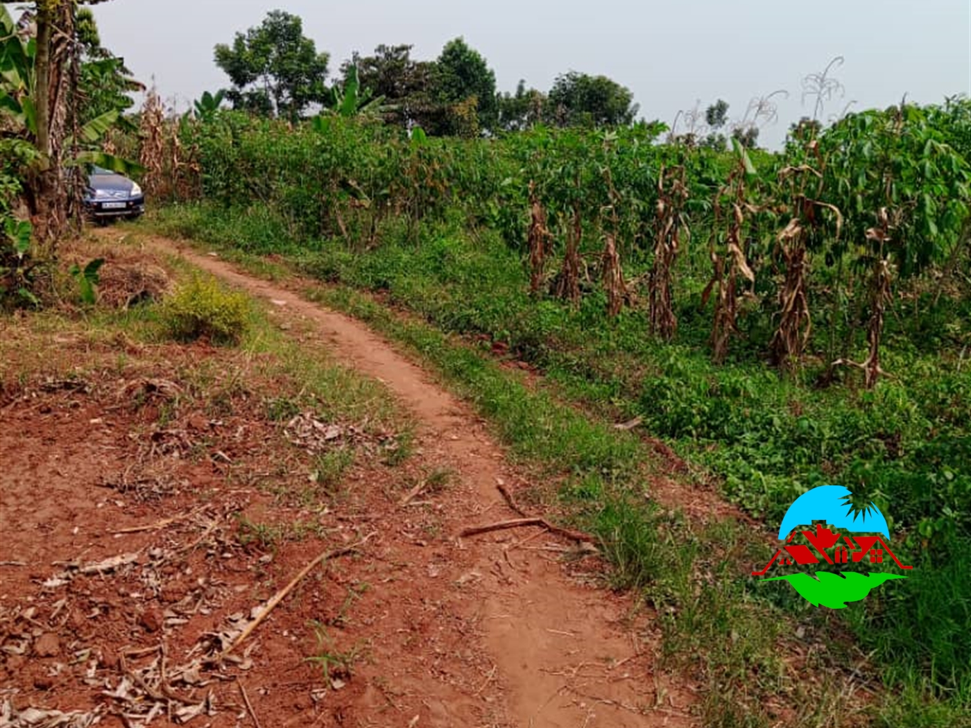 Residential Land for sale in Bunsule Luweero