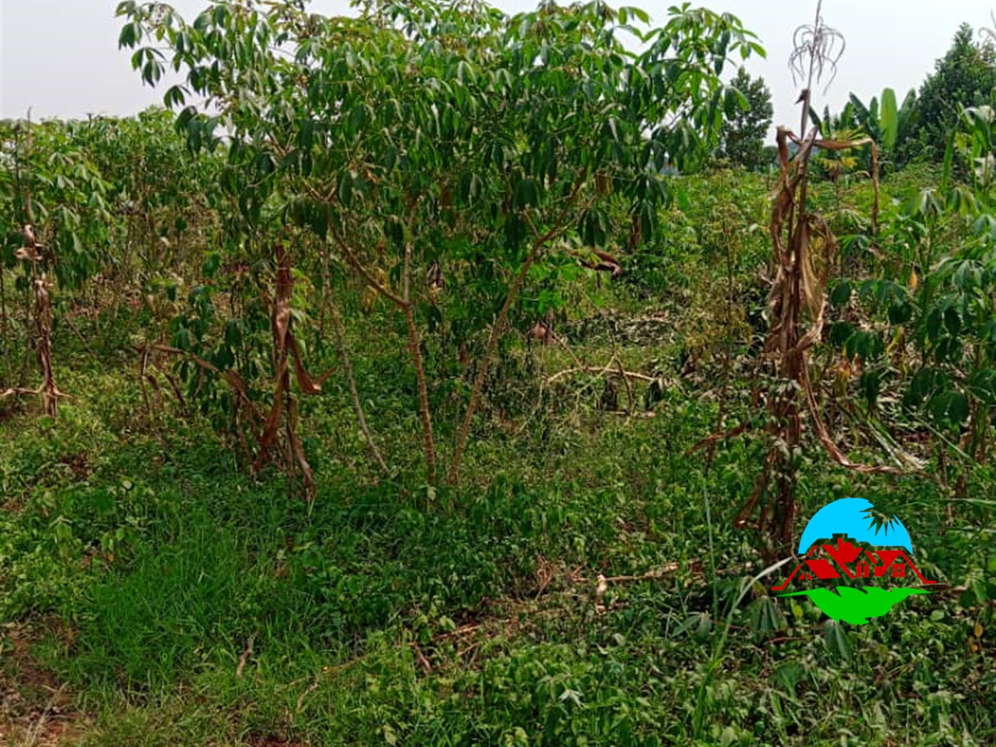 Residential Land for sale in Bunsule Luweero