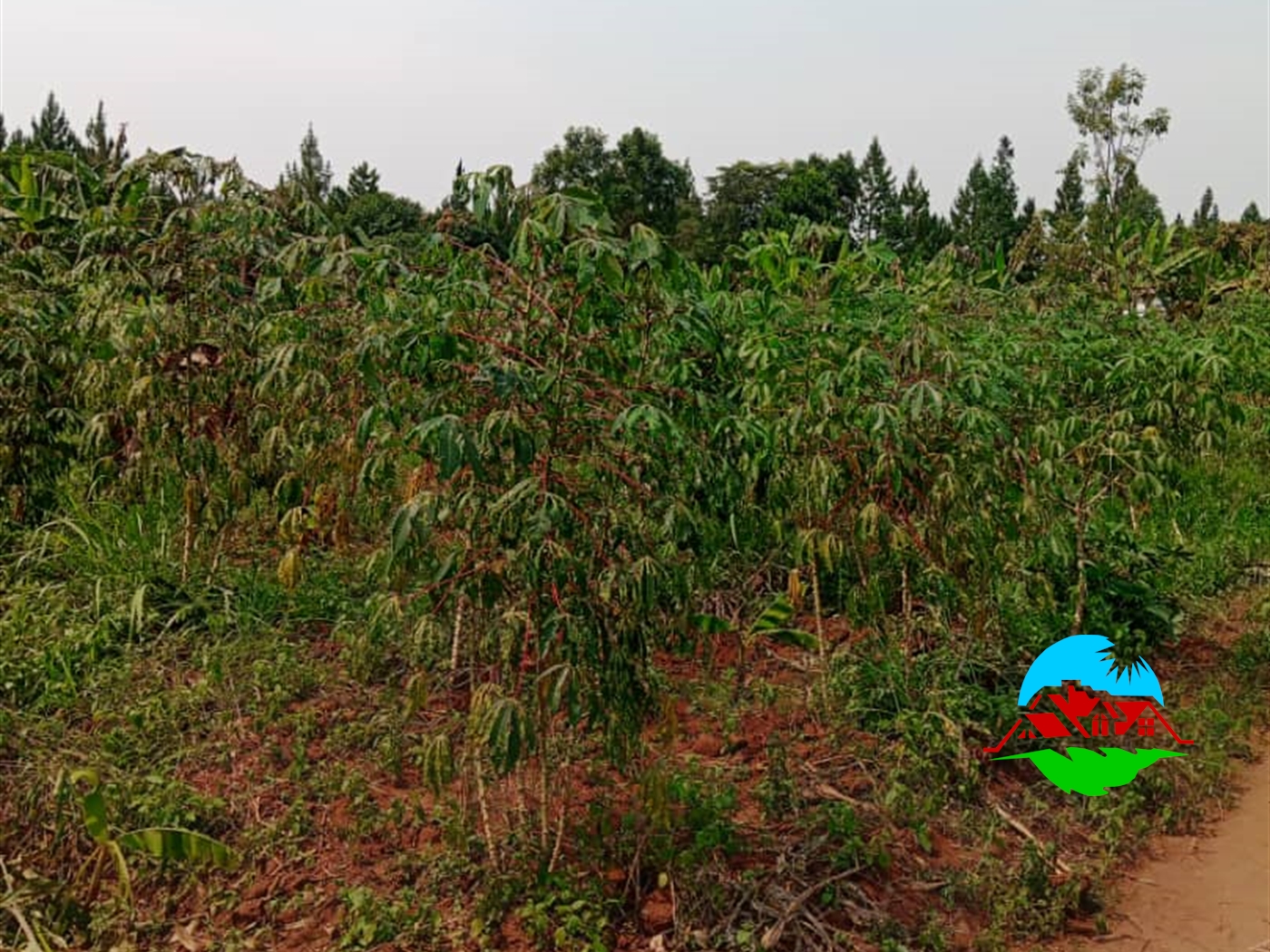 Residential Land for sale in Bunsule Luweero