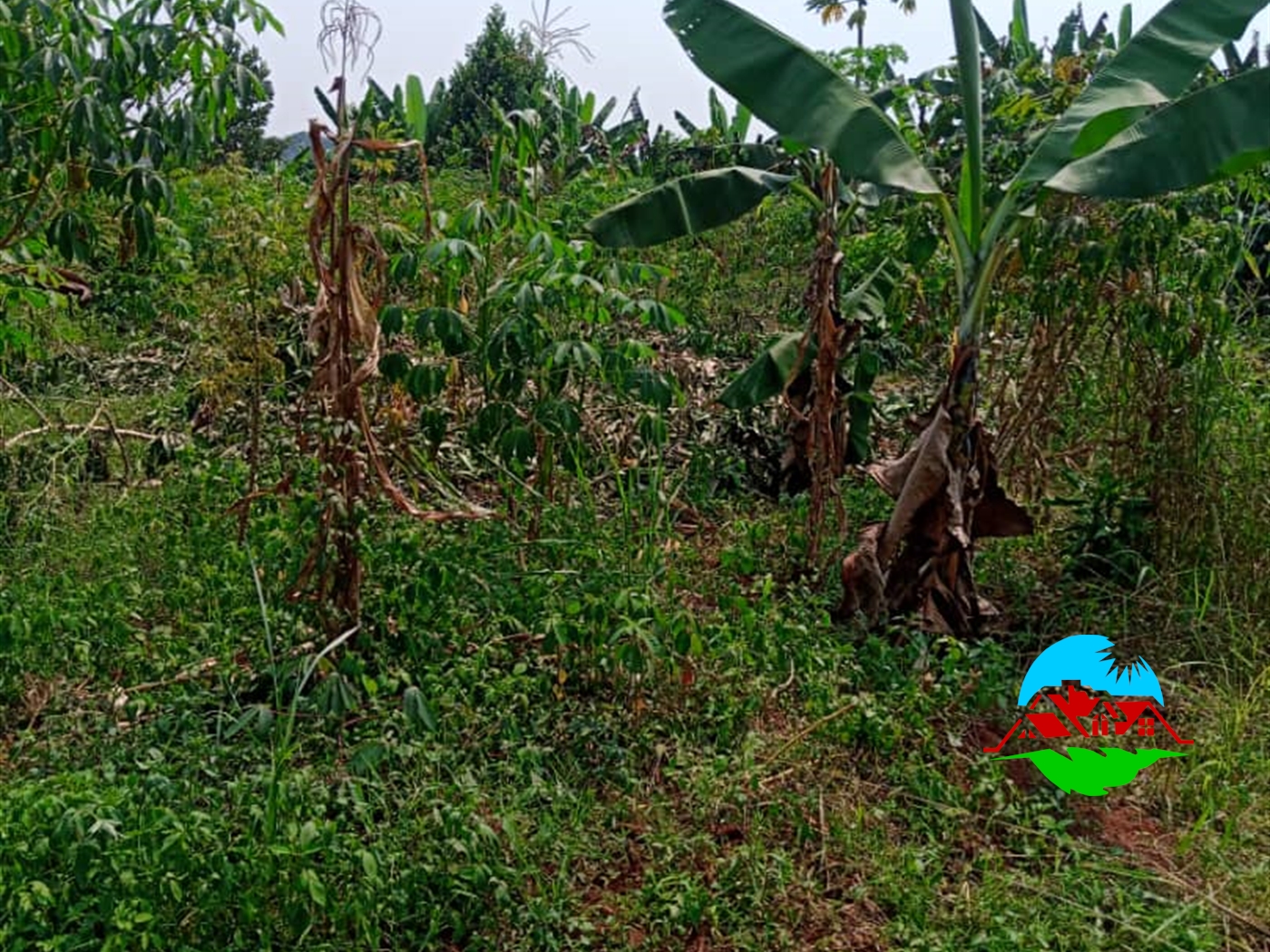 Residential Land for sale in Bunsule Luweero