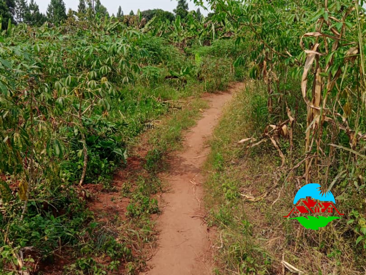 Residential Land for sale in Bunsule Luweero