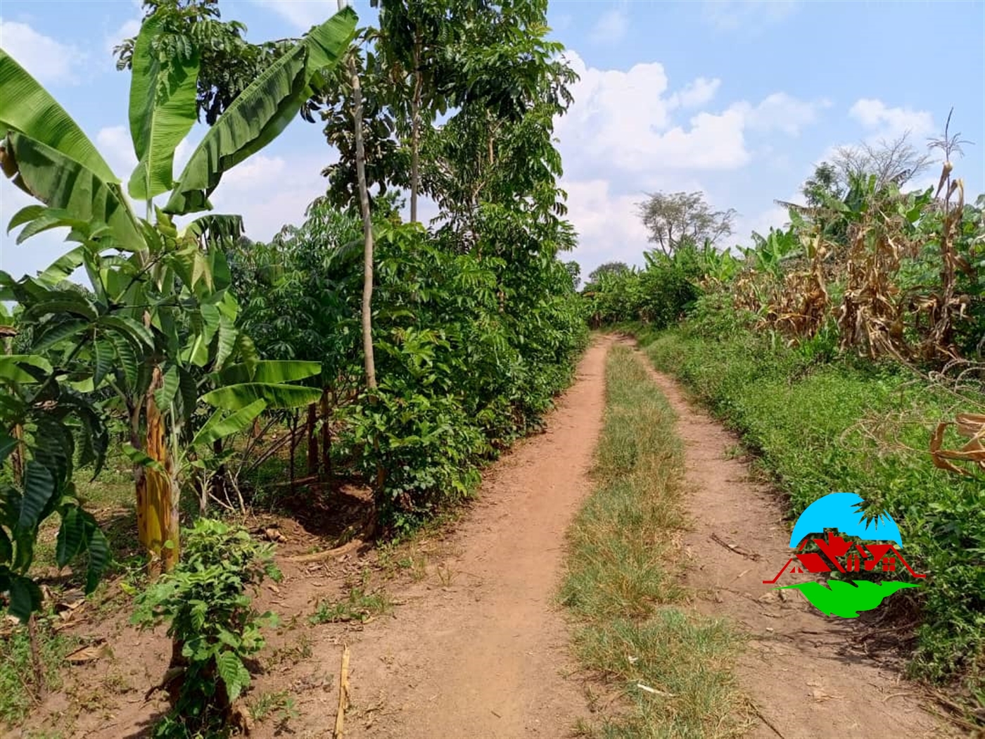 Residential Land for sale in Kiwenda Wakiso