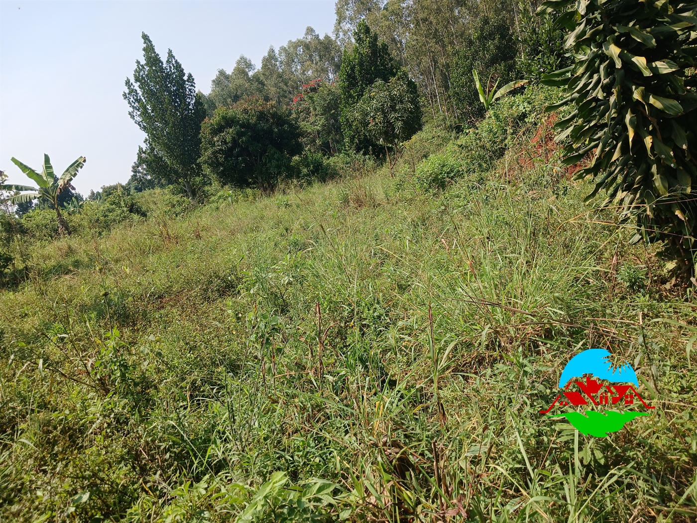 Residential Land for sale in Kalagala Luweero