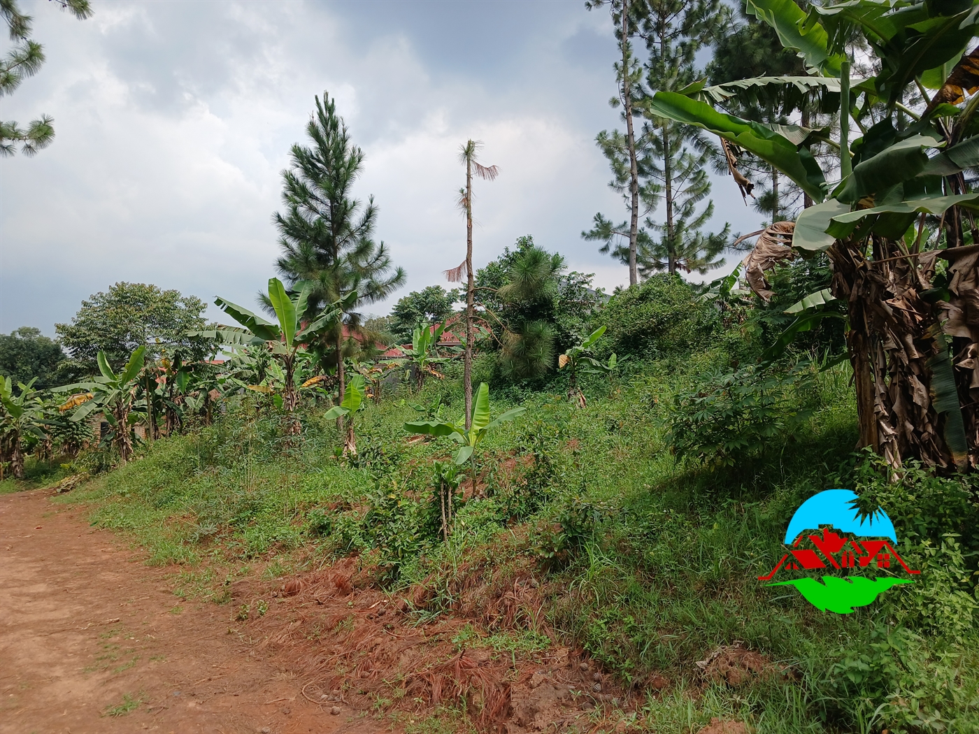 Residential Land for sale in Kiteetikka Wakiso