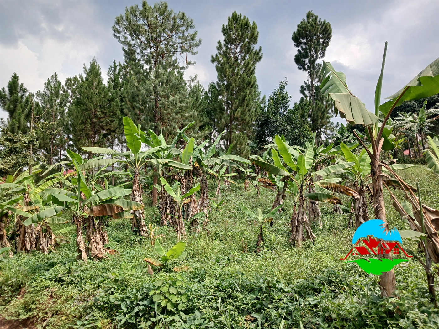 Residential Land for sale in Kiteetikka Wakiso