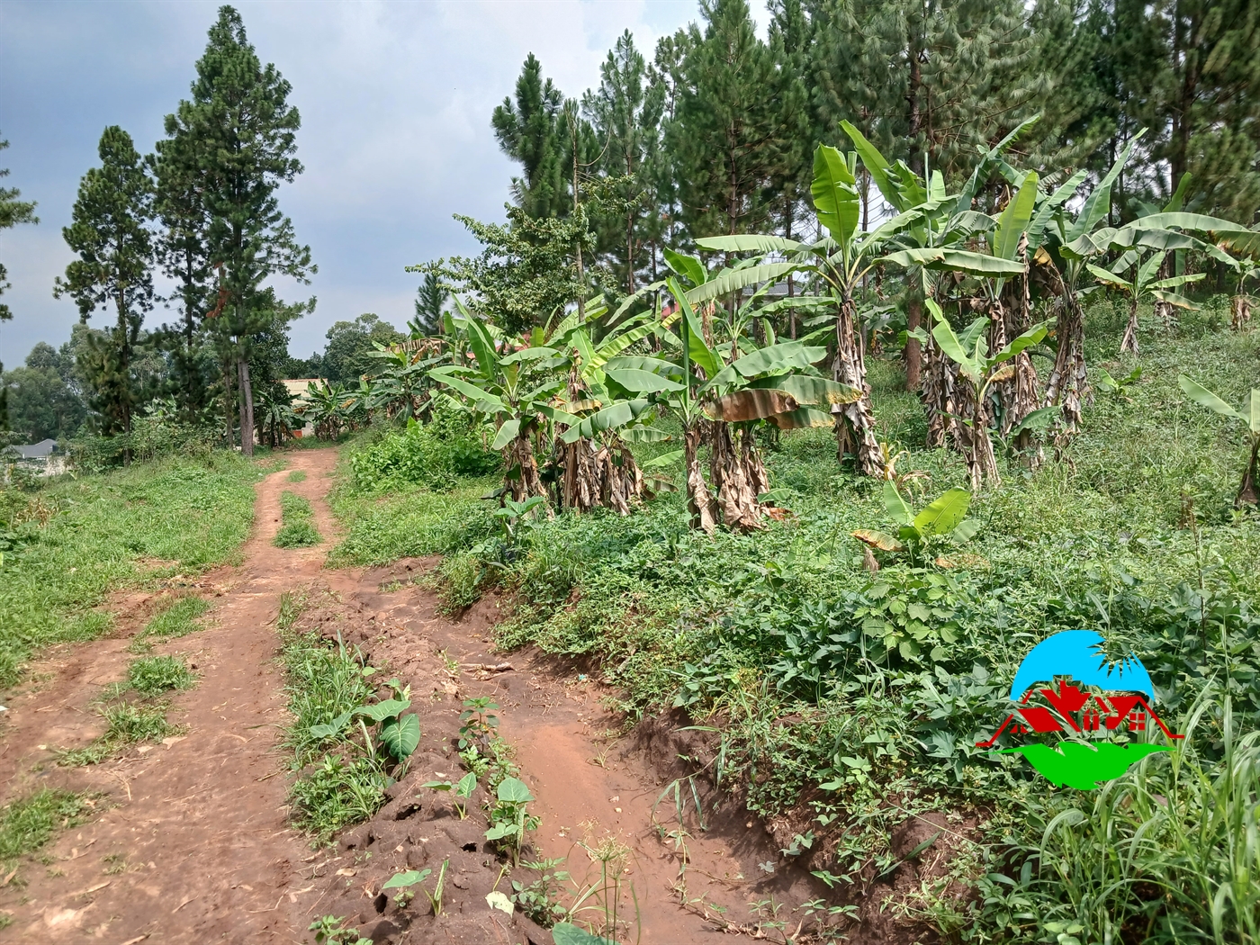 Residential Land for sale in Kiteetikka Wakiso