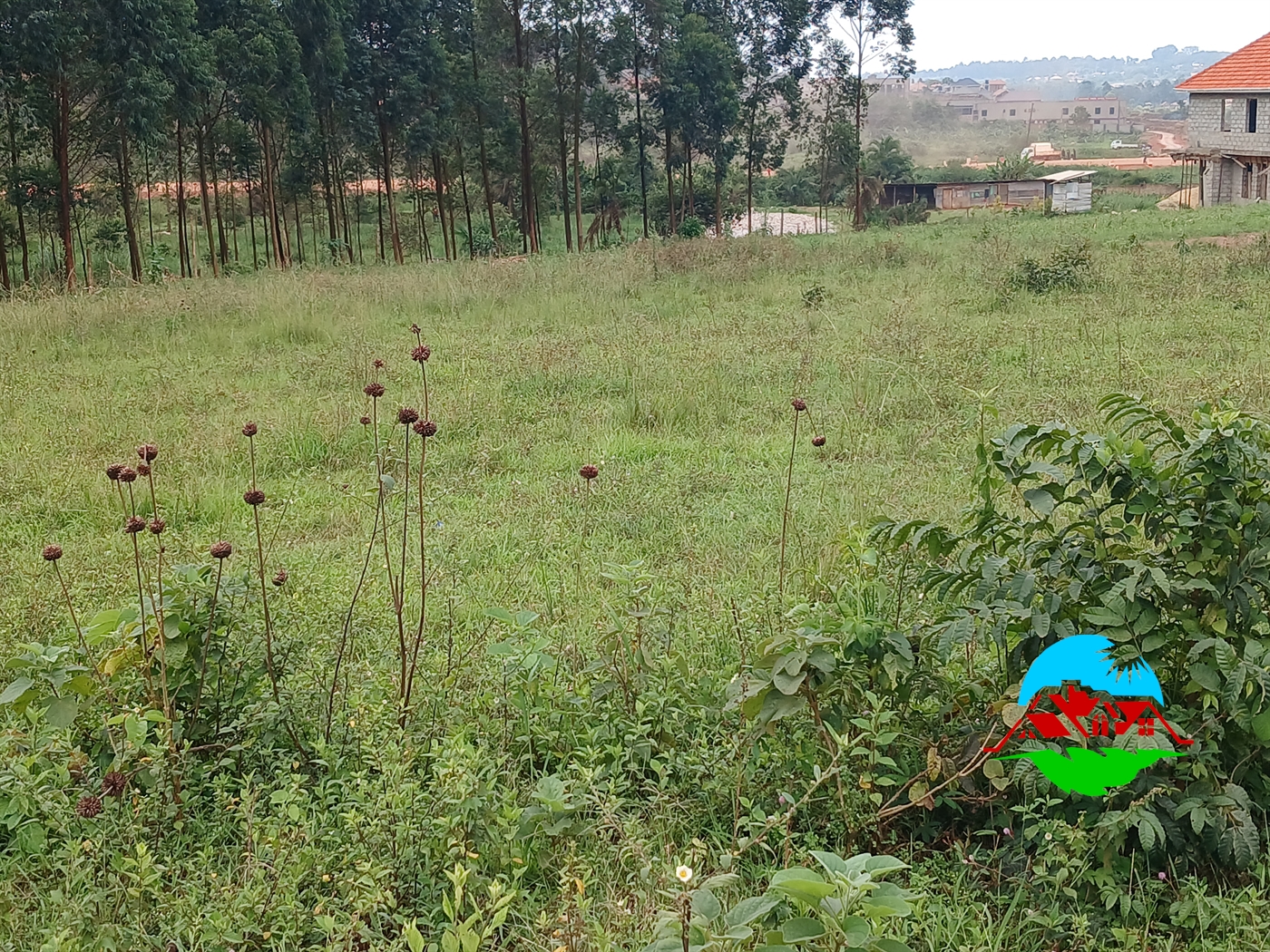 Residential Land for sale in Masooli Wakiso