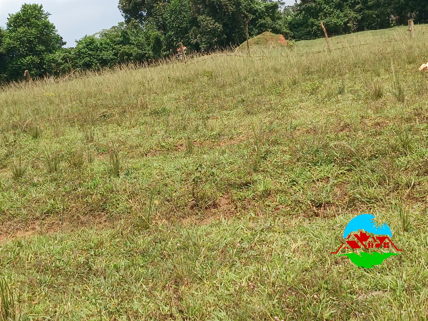 Residential Land for sale in Masooli Wakiso