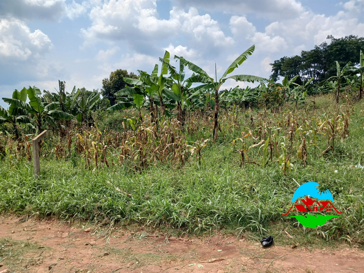 Residential Land for sale in Masooli Wakiso