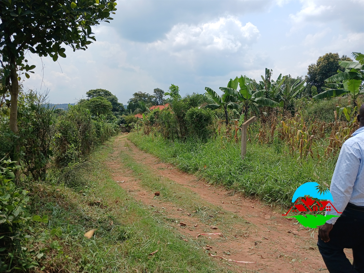 Residential Land for sale in Masooli Wakiso