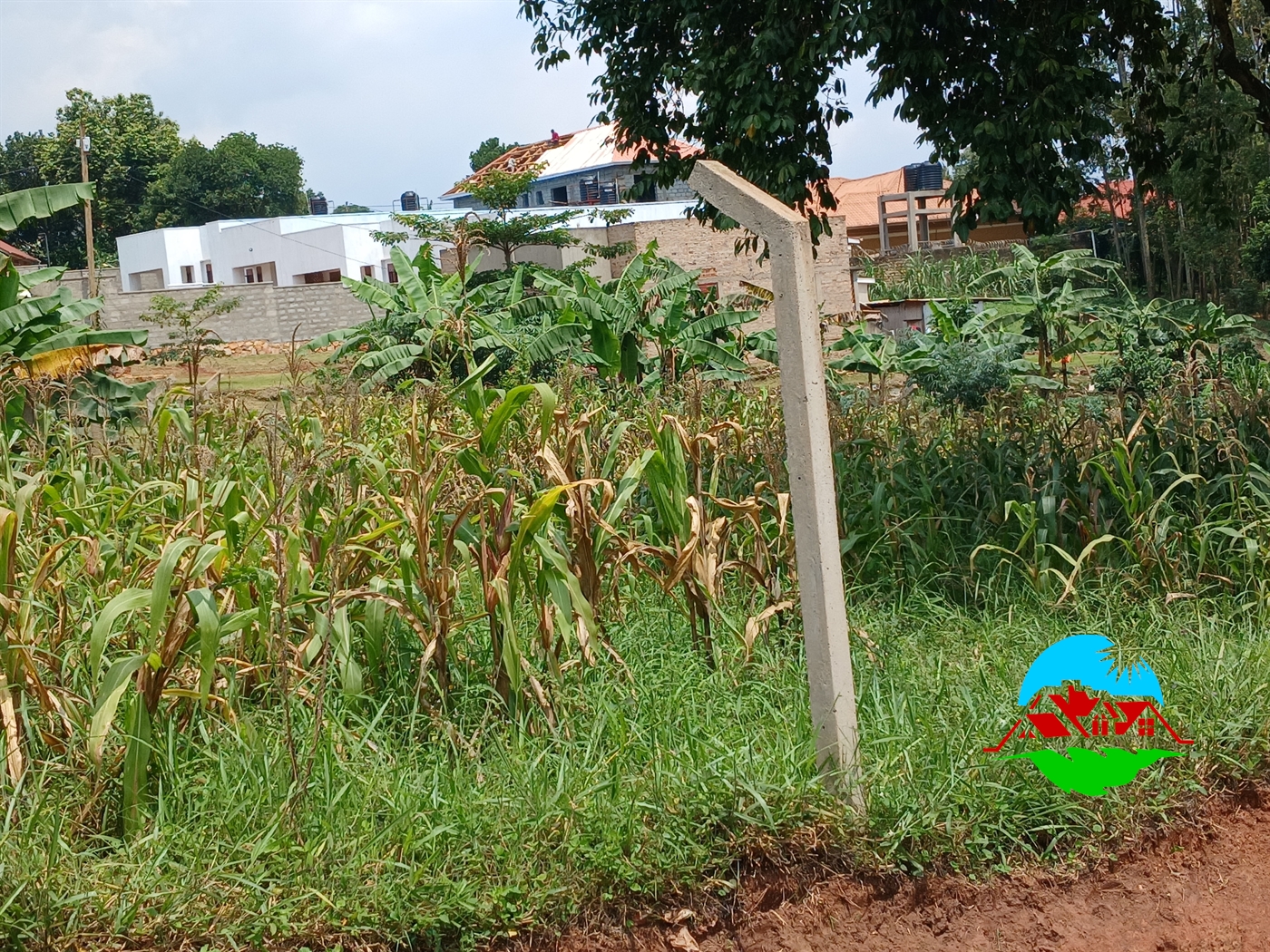 Residential Land for sale in Masooli Wakiso