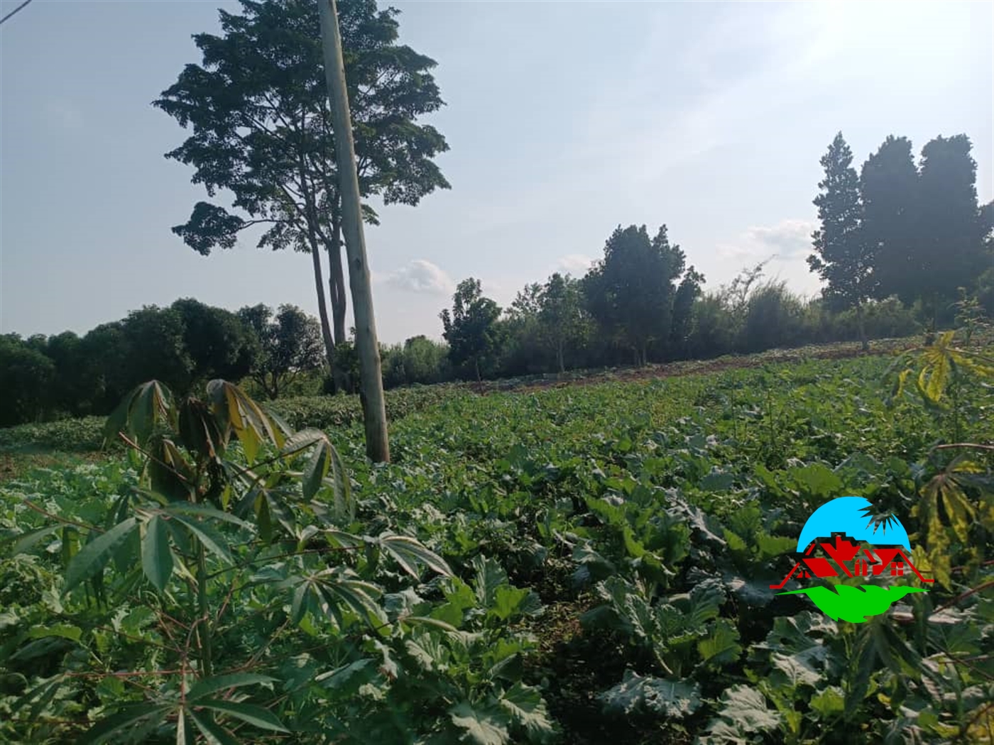 Residential Land for sale in Kiyunga Mukono