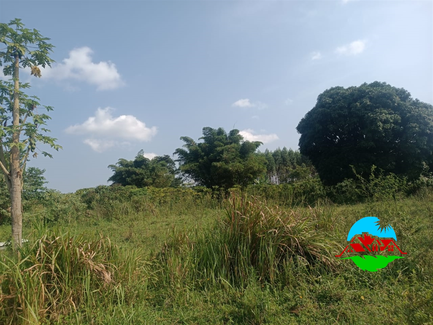 Residential Land for sale in Kiyunga Mukono