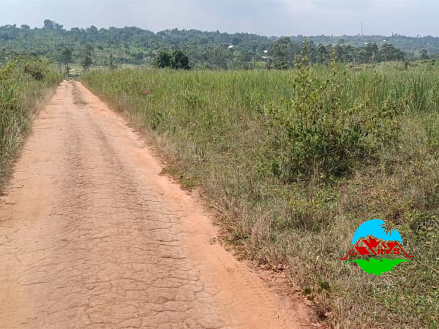 Residential Land for sale in Kiyunga Mukono